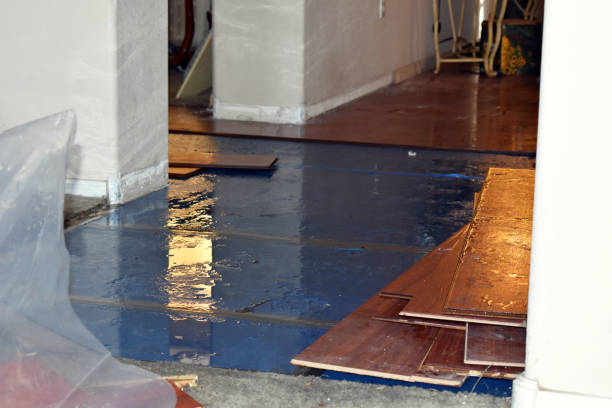 Professional Burst Pipe Cleanup technician working in Hamilton, MI