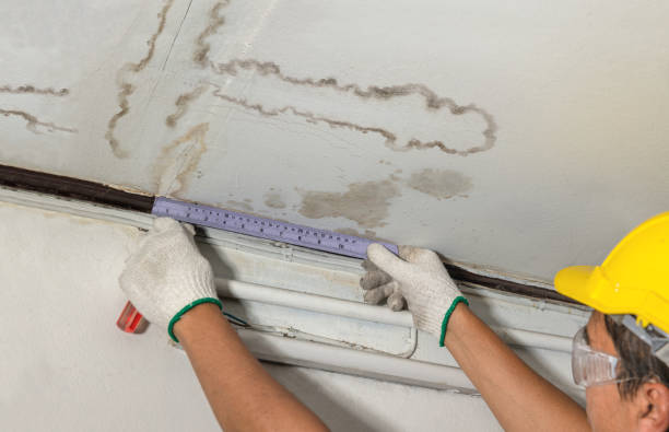 Reliable Burst Pipe Cleanup contractor in Hamilton, MI by Local Water Damage Repair